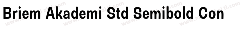 Briem Akademi Std Semibold Cond字体转换